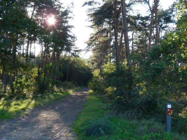 De Steegberg Holiday Home Sevenum Luaran gambar